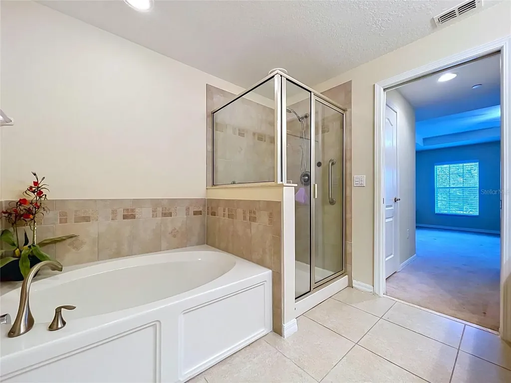 10144 Arbor Run Drive Tampa FL 33647