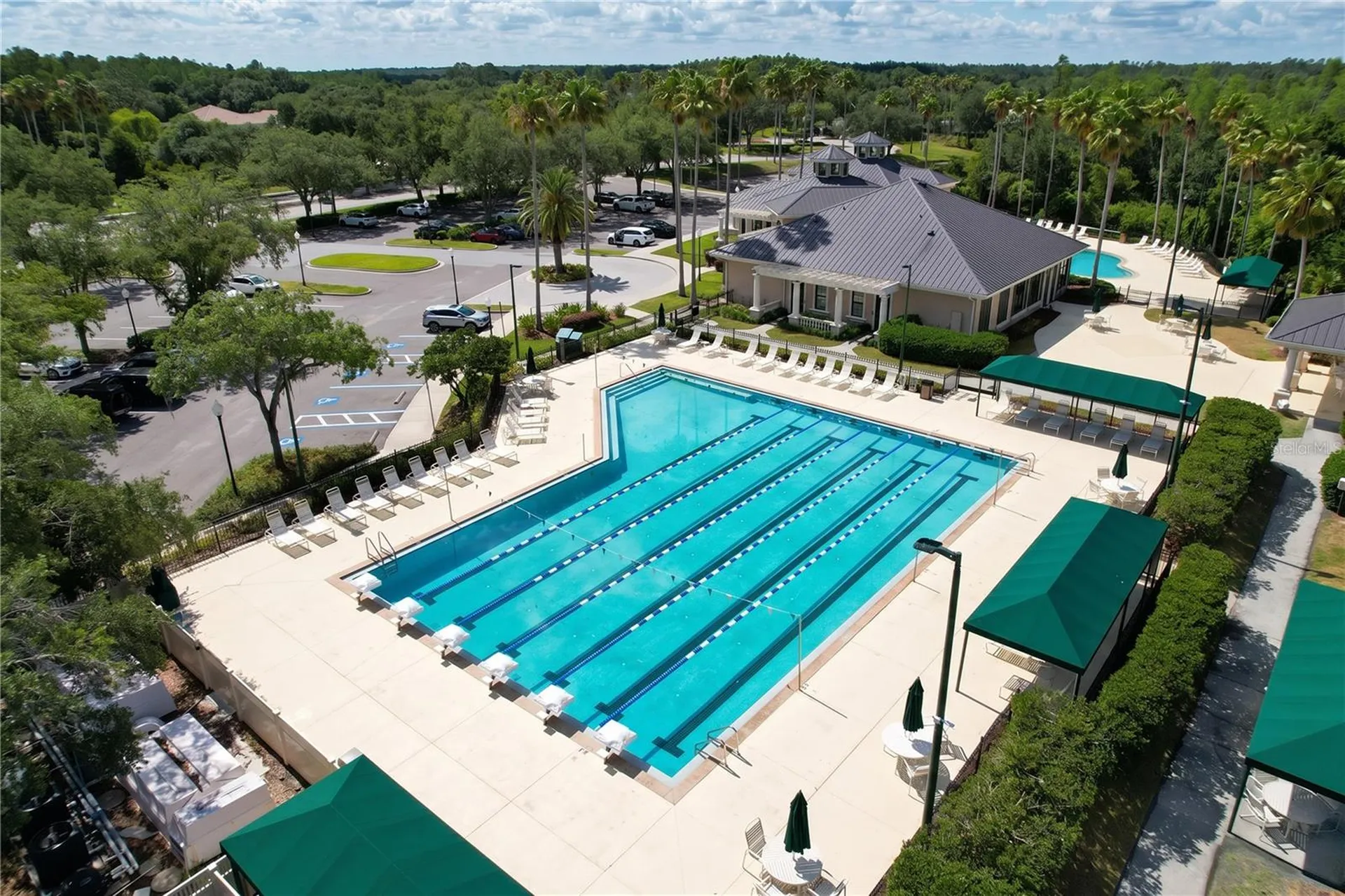 10144 Arbor Run Drive Tampa FL 33647