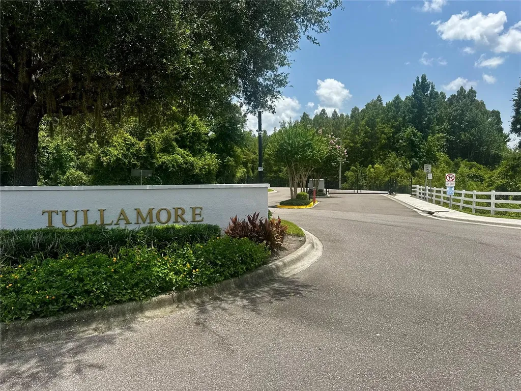1033 Blackwater Drive Wesley Chapel FL 33543