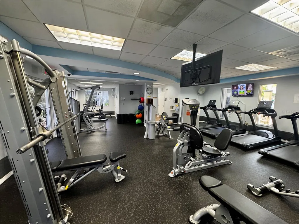 1033 Blackwater Drive Wesley Chapel FL 33543