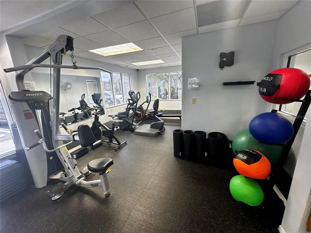 1033 Blackwater Drive Wesley Chapel FL 33543