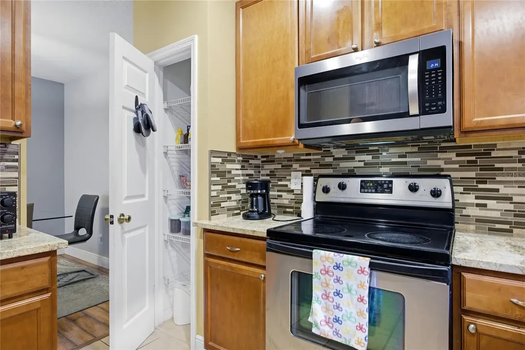 1033 Blackwater Drive Wesley Chapel FL 33543