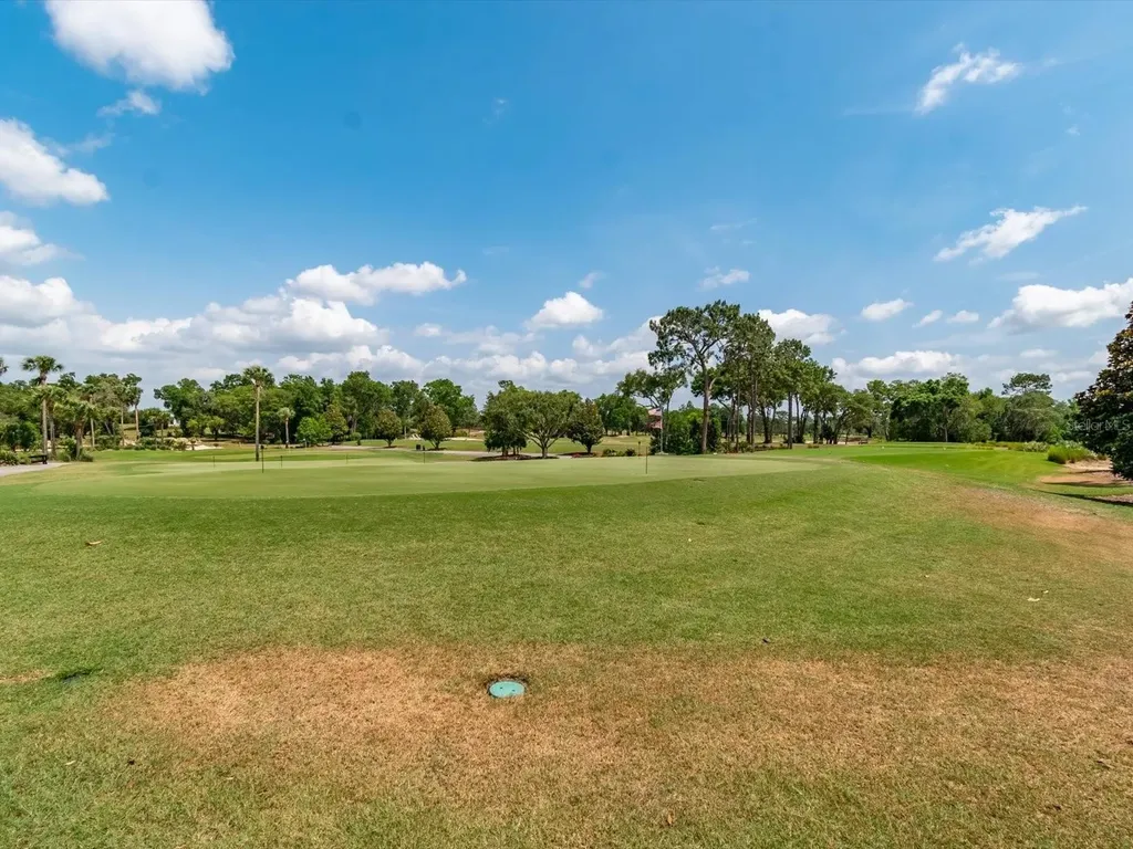 6704 SW 179th Court Road Dunnellon FL 34432