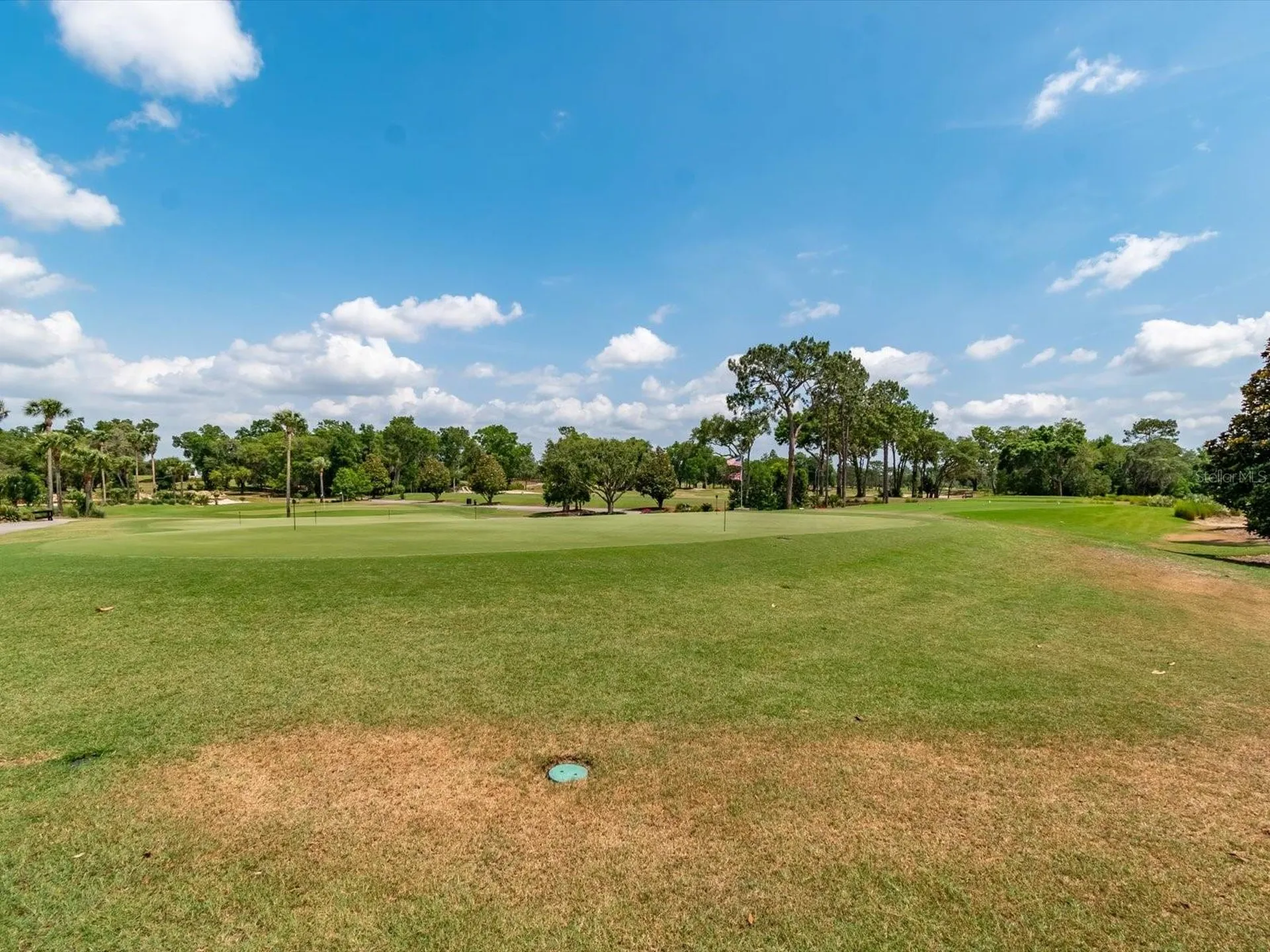 6704 SW 179th Court Road Dunnellon FL 34432