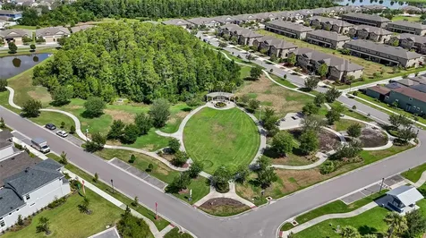 3725 Tea Leaf Alley Land O Lakes FL 34638