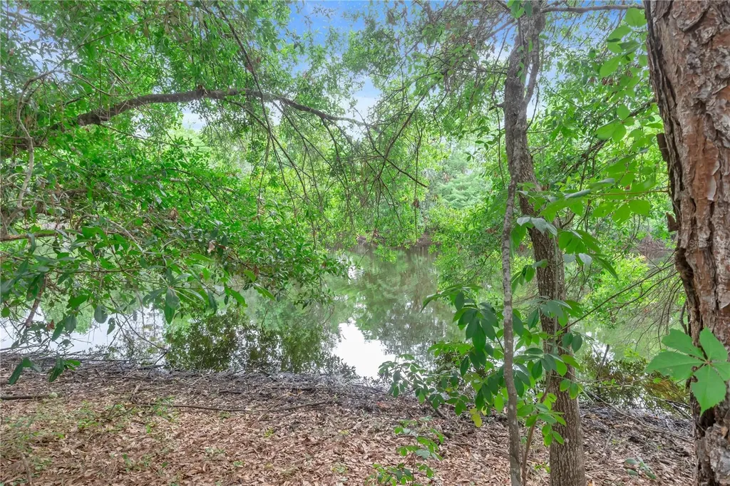 306 Reed Grass Drive Oviedo FL 32765