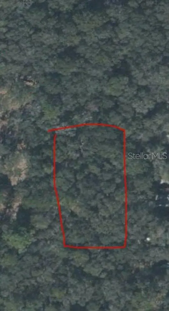 128TH Place Chiefland FL 32626