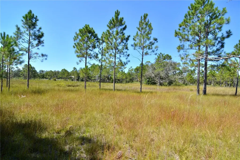 Key Deer Ct, Perry FL 32348