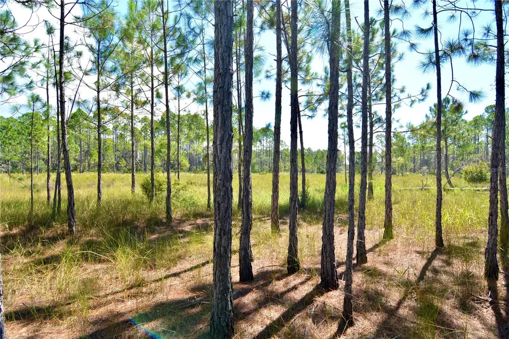 Key Deer Ct, Perry FL 32348
