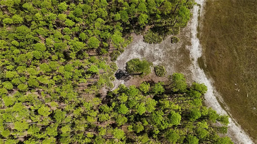Key Deer Ct, Perry FL 32348