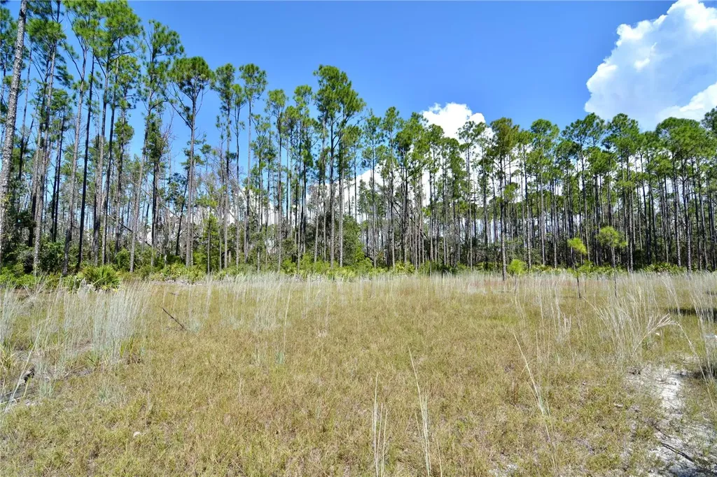 Key Deer Ct, Perry FL 32348