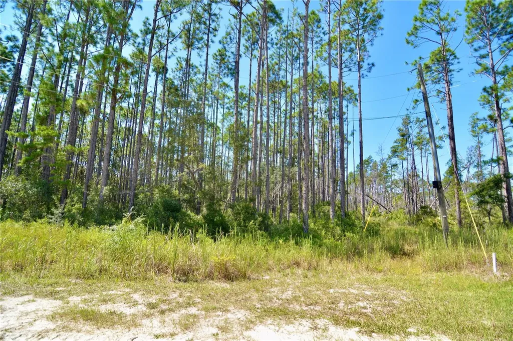 Key Deer Ct, Perry FL 32348