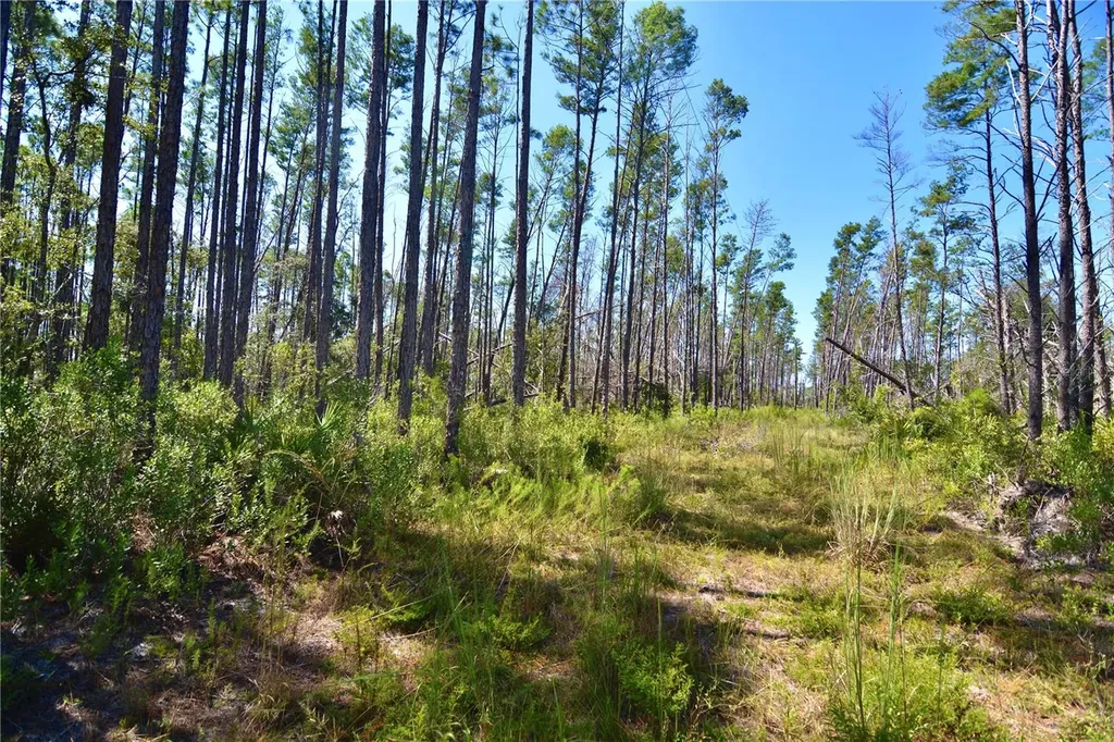 Key Deer Ct, Perry FL 32348
