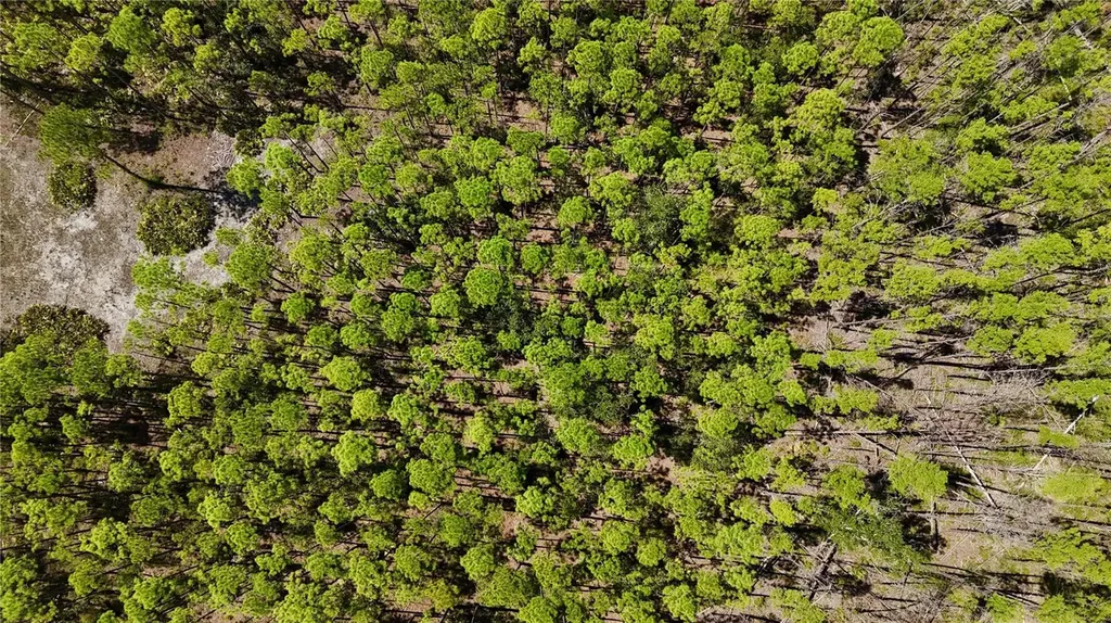 Key Deer Ct, Perry FL 32348