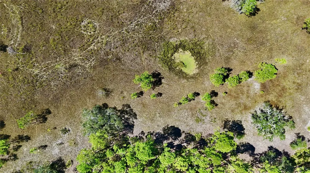 Key Deer Ct, Perry FL 32348