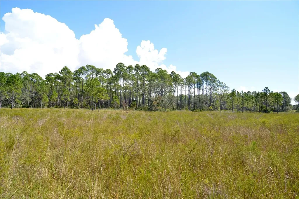 Key Deer Ct, Perry FL 32348