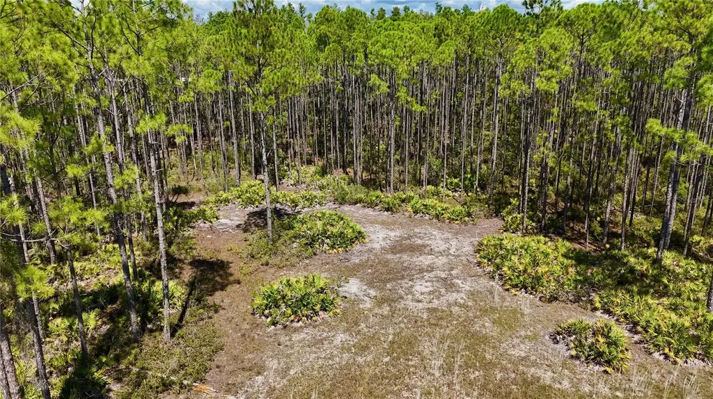 Key Deer Ct, Perry FL 32348