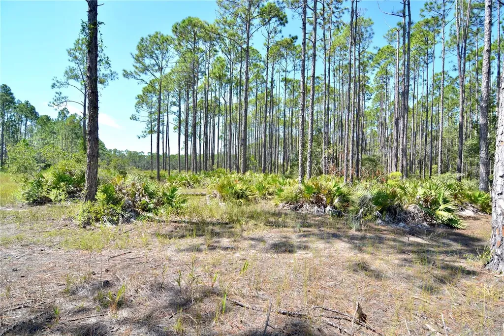 Key Deer Ct, Perry FL 32348