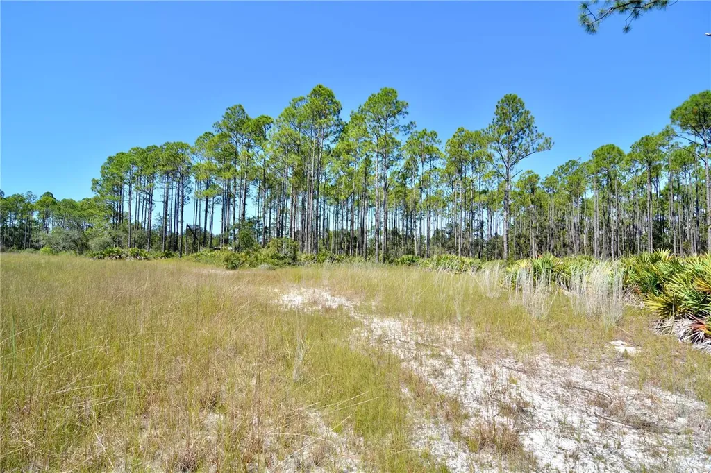 Key Deer Ct, Perry FL 32348