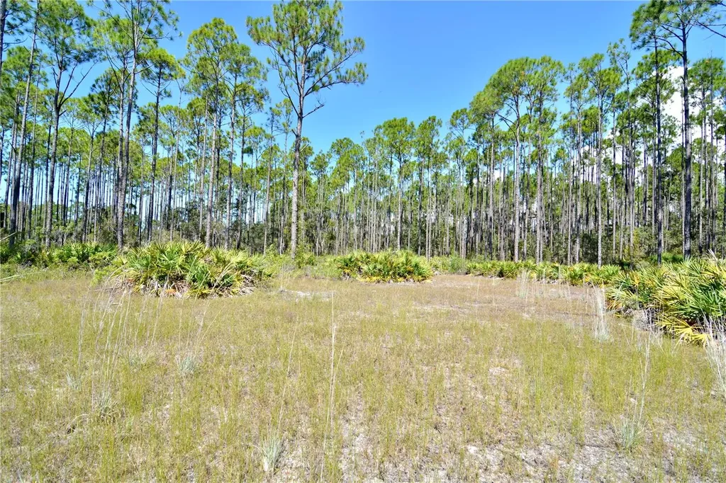 Key Deer Ct, Perry FL 32348