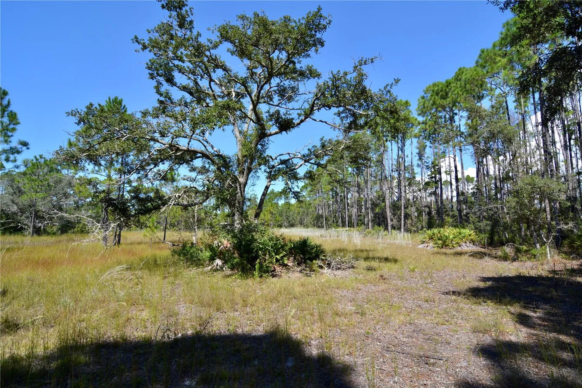 Key Deer Ct, Perry FL 32348