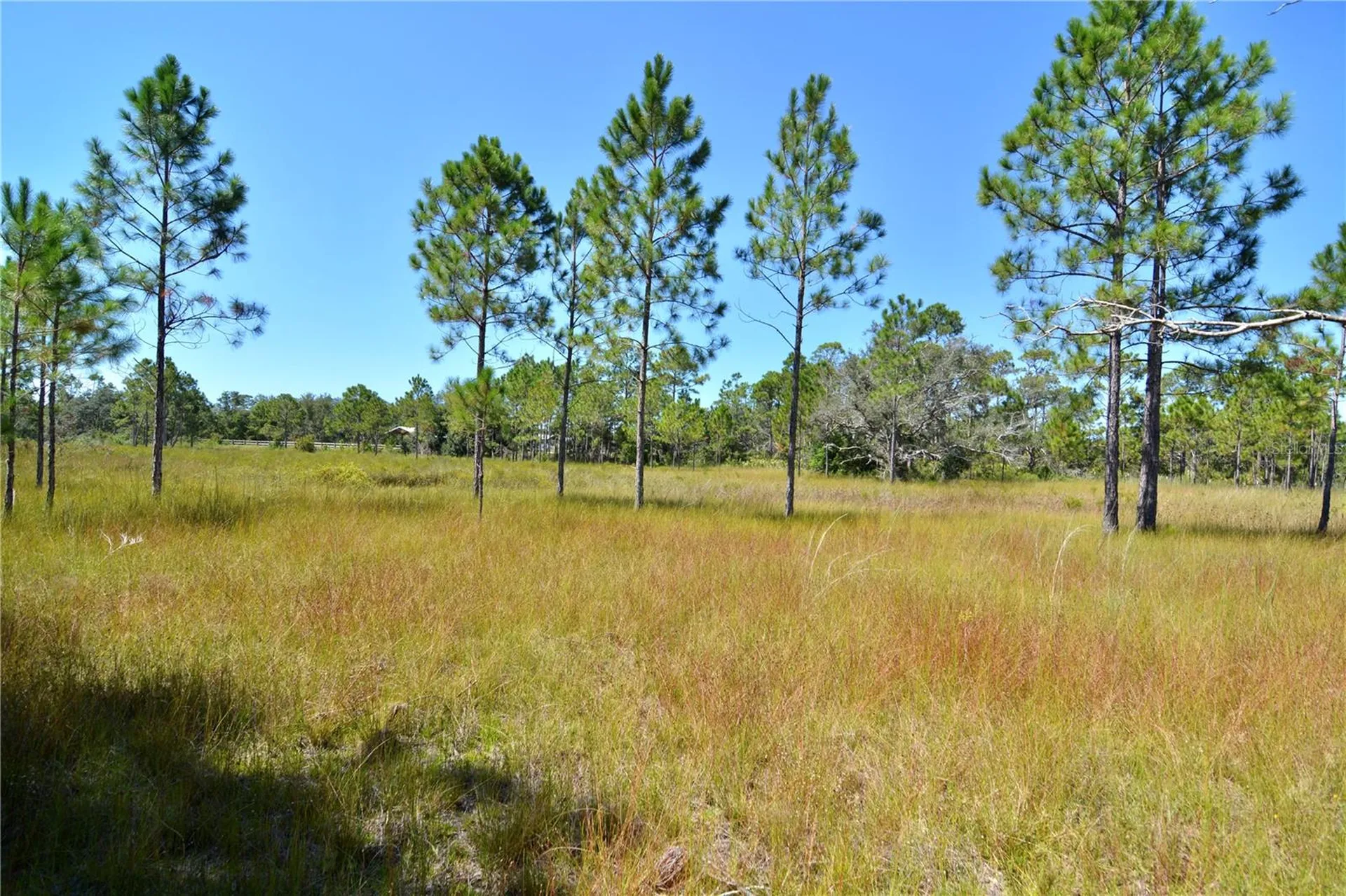 Key Deer Ct, Perry FL 32348