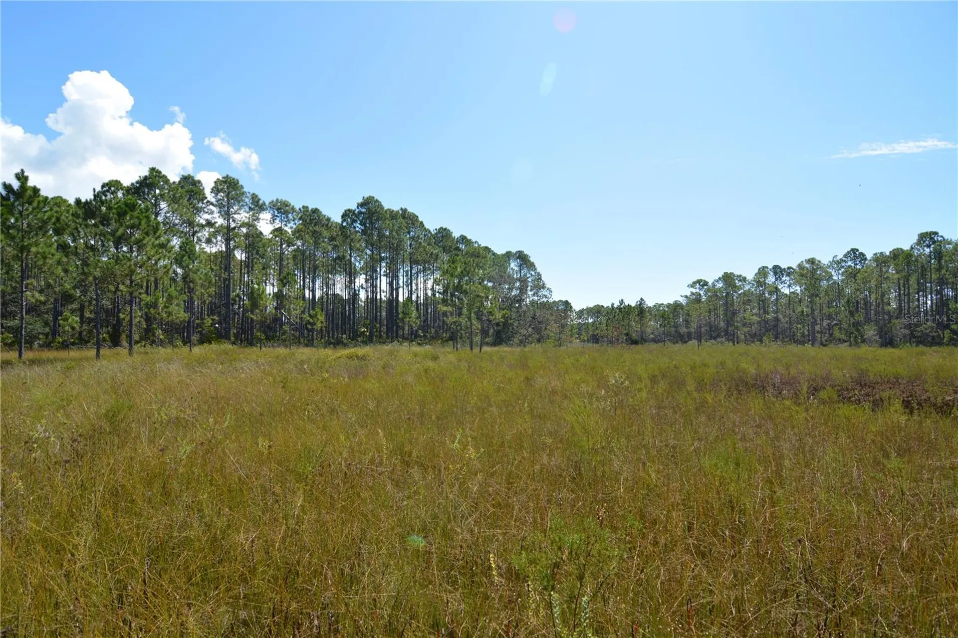 Key Deer Ct, Perry FL 32348
