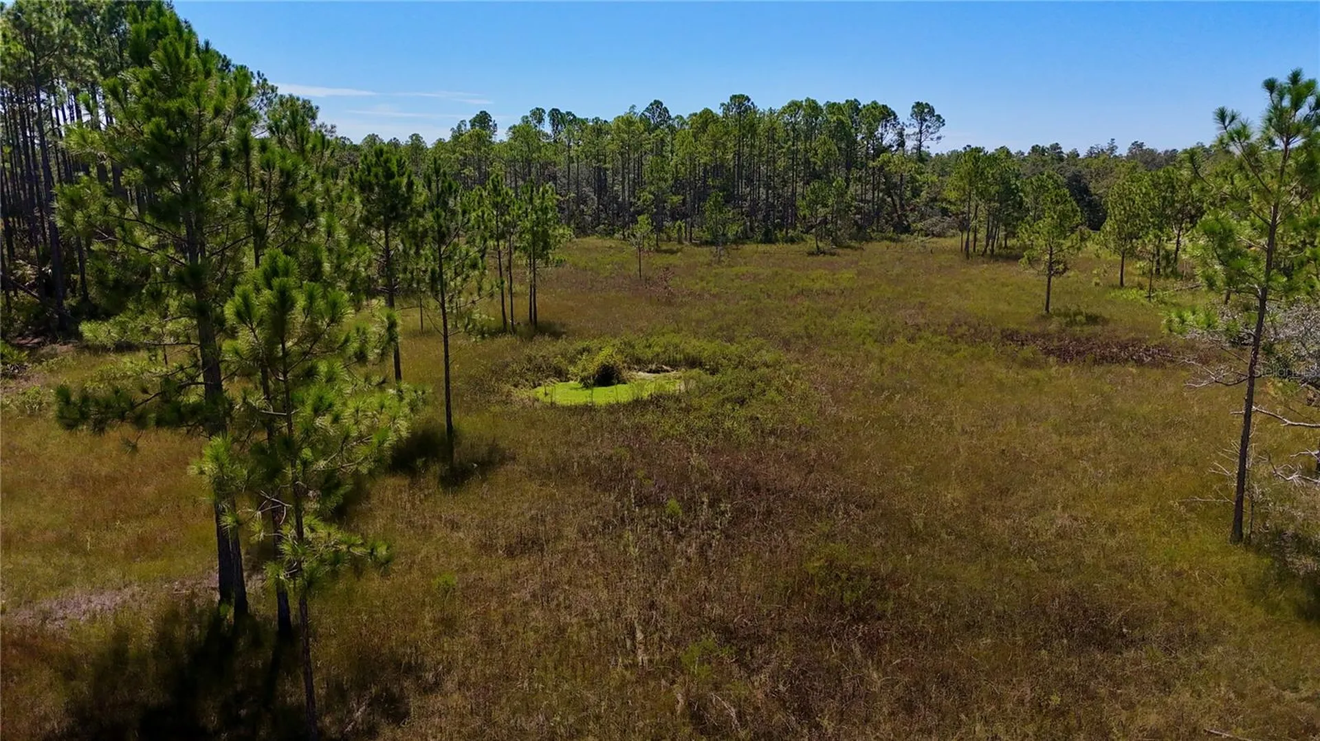 Key Deer Ct, Perry FL 32348