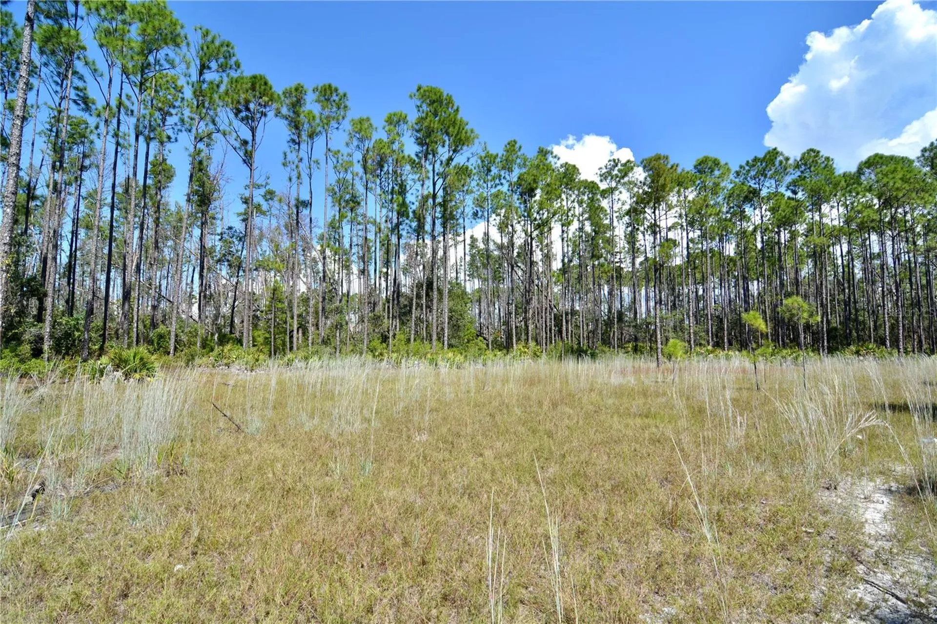 Key Deer Ct, Perry FL 32348