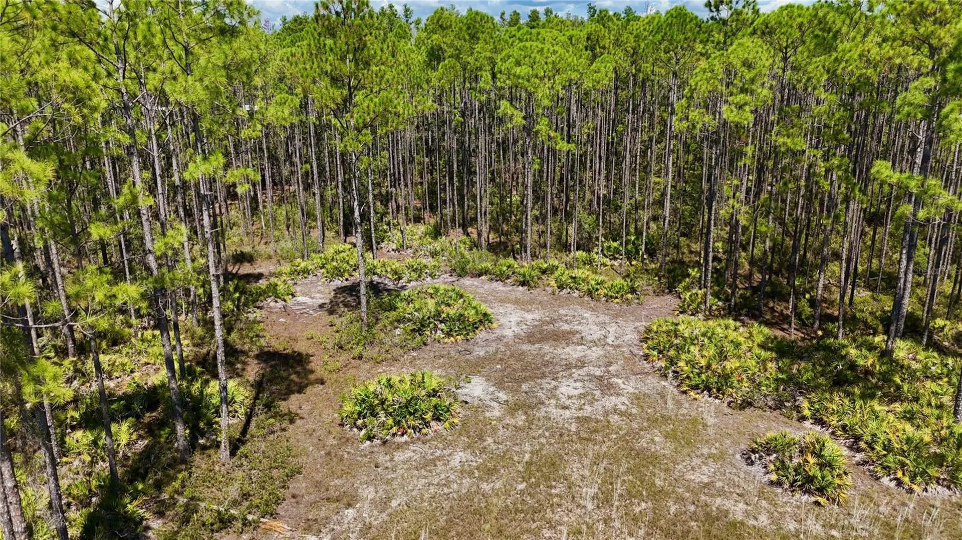 Key Deer Ct, Perry FL 32348