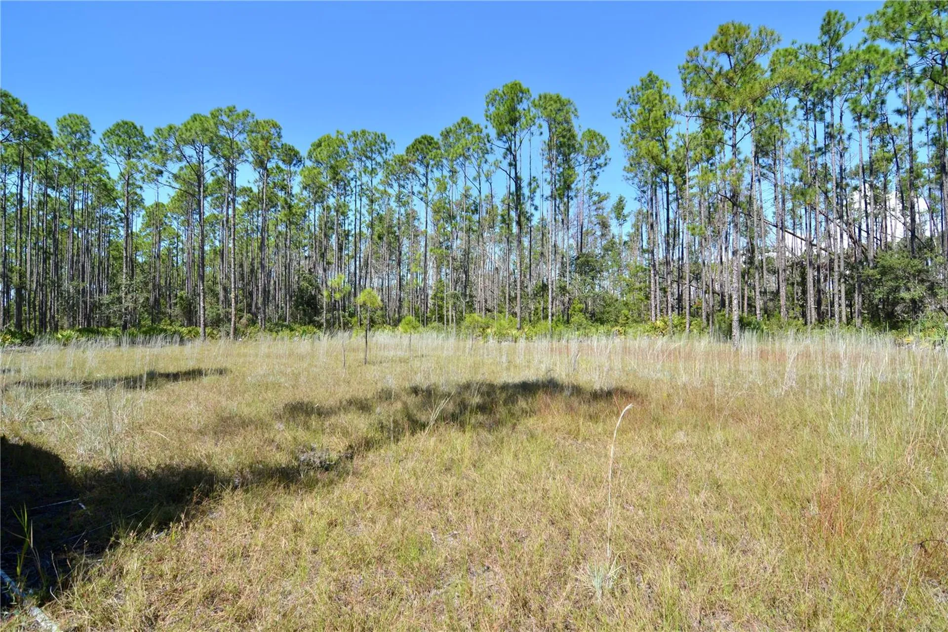 Key Deer Ct, Perry FL 32348