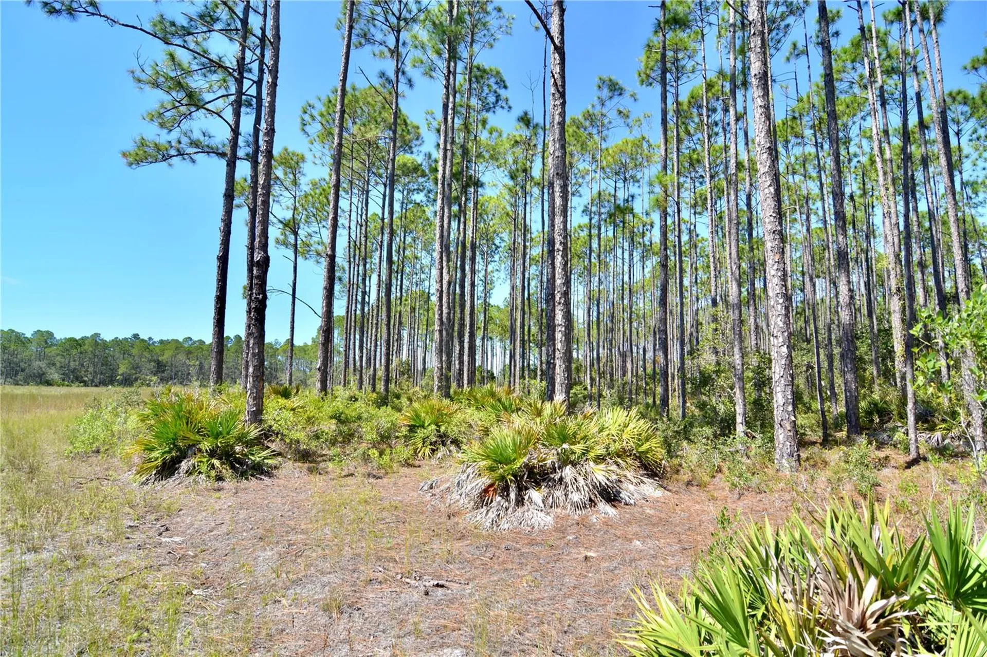 Key Deer Ct, Perry FL 32348