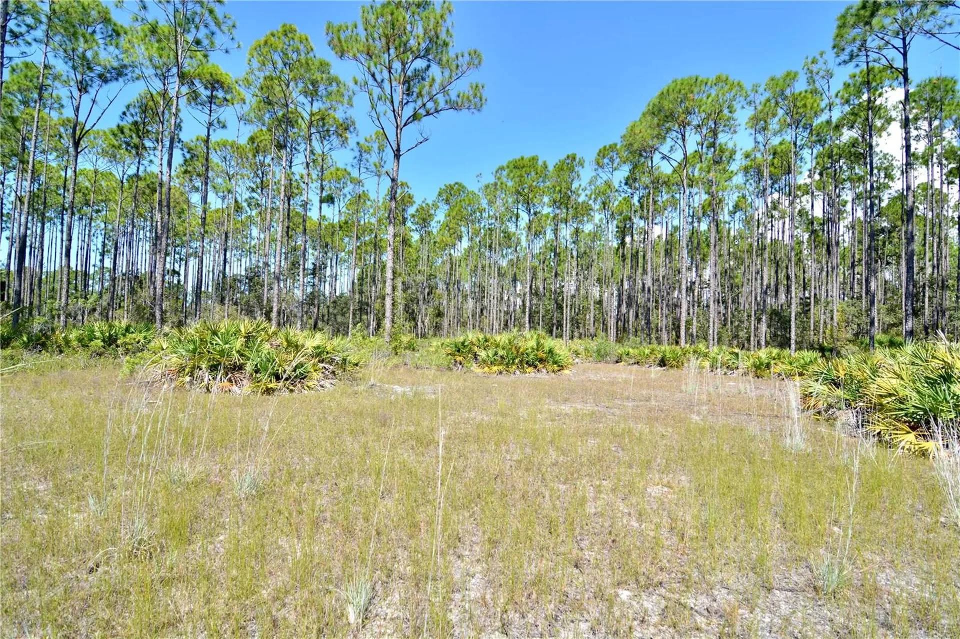 Key Deer Ct, Perry FL 32348