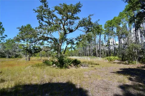 Key Deer Ct, Perry FL 32348