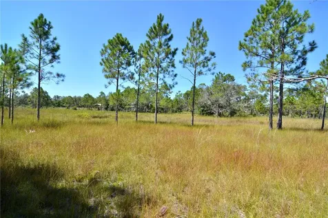 Key Deer Ct, Perry FL 32348