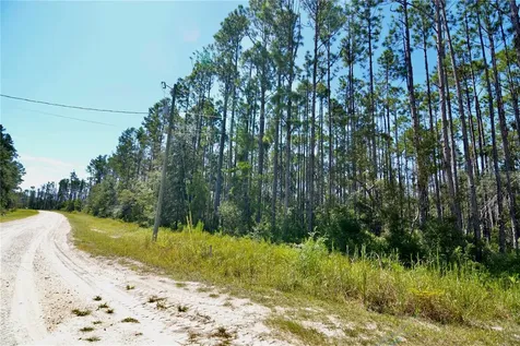 Key Deer Ct, Perry FL 32348