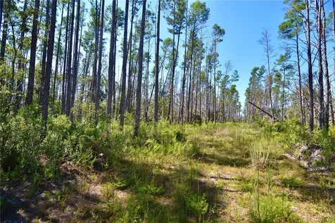 Key Deer Ct, Perry FL 32348