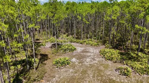 Key Deer Ct, Perry FL 32348