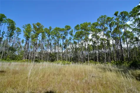 Key Deer Ct, Perry FL 32348