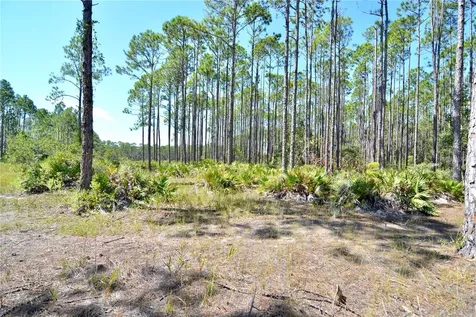 Key Deer Ct, Perry FL 32348