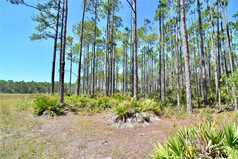 Key Deer Ct, Perry FL 32348
