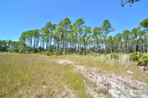 Key Deer Ct, Perry FL 32348