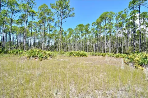 Key Deer Ct, Perry FL 32348