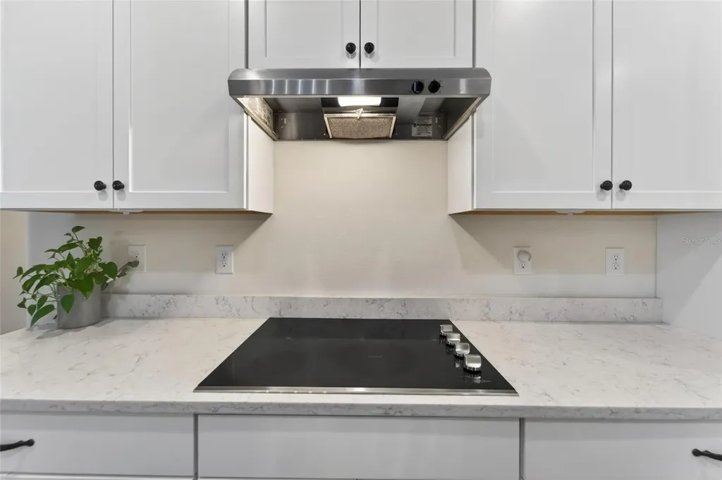 13017 Satin Lily Drive Riverview FL 33579