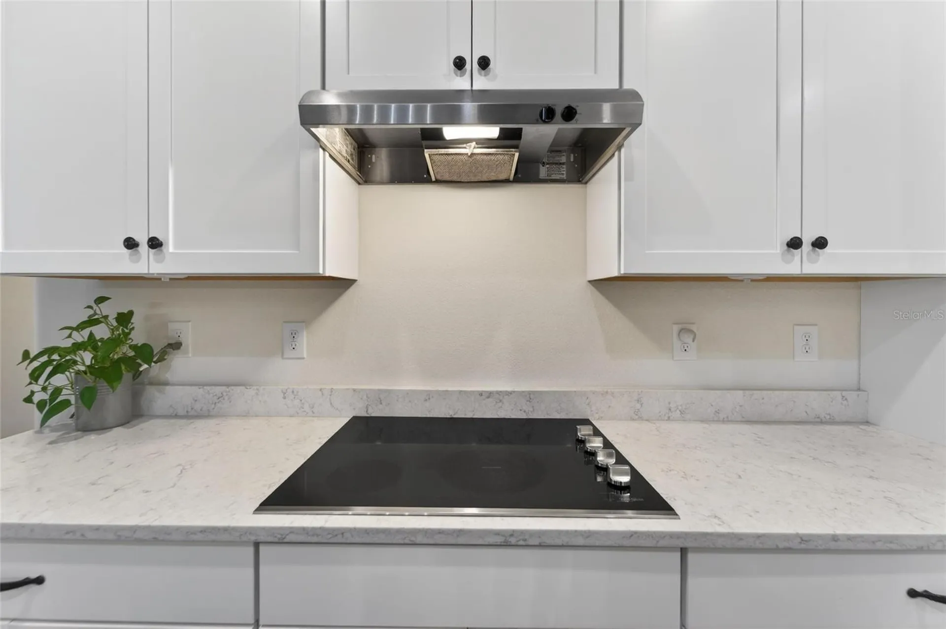 13017 Satin Lily Drive Riverview FL 33579