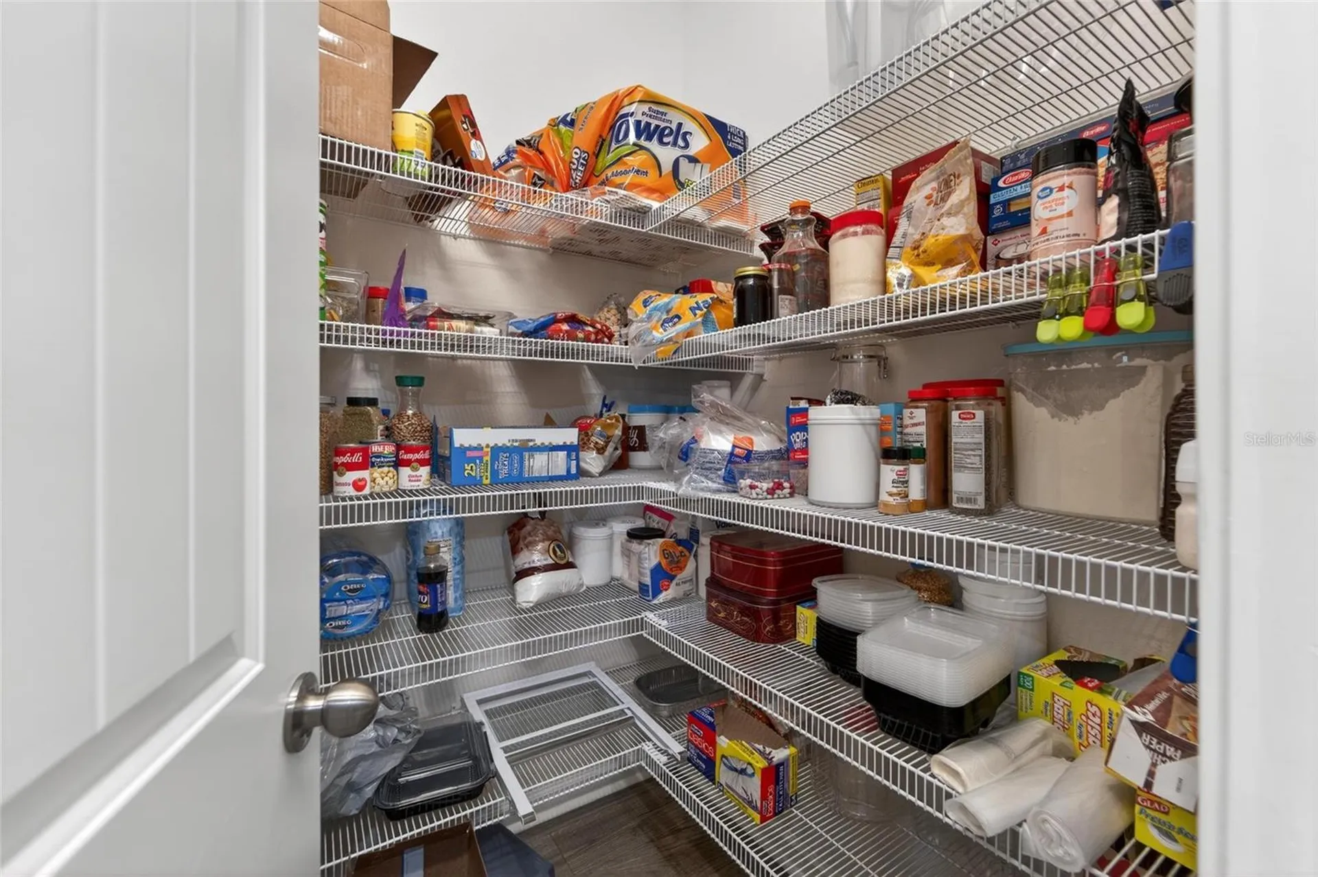 13017 Satin Lily Drive Riverview FL 33579