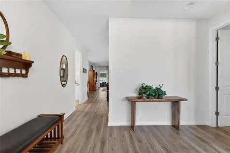 13017 Satin Lily Drive Riverview FL 33579