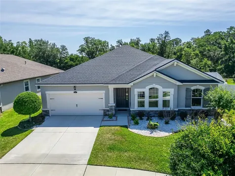 13017 Satin Lily Drive Riverview FL 33579