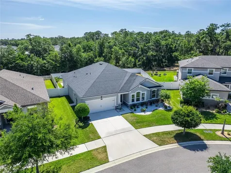 13017 Satin Lily Drive Riverview FL 33579
