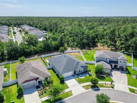 13017 Satin Lily Drive Riverview FL 33579